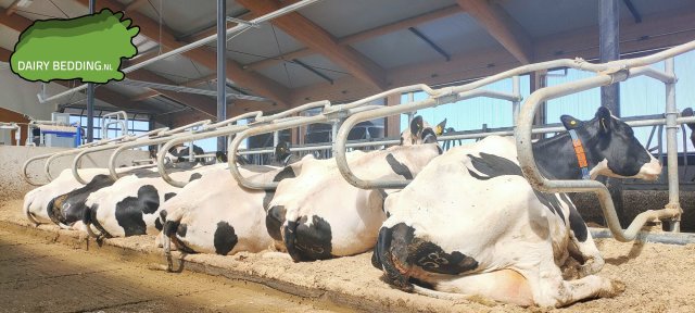 Dairy Bedding STRO-KALK strooisel