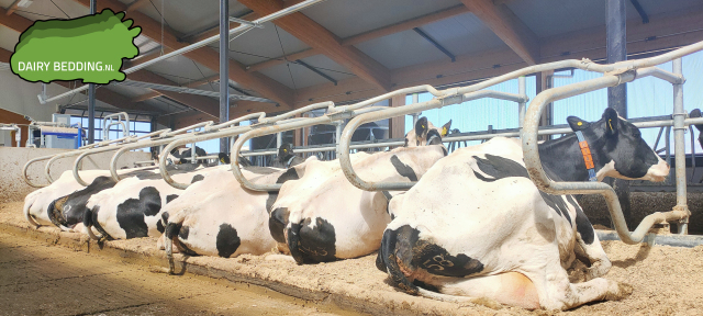 Dairy Bedding VLAS-KALK extra fijn